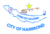 Flag of Hammond, Indiana