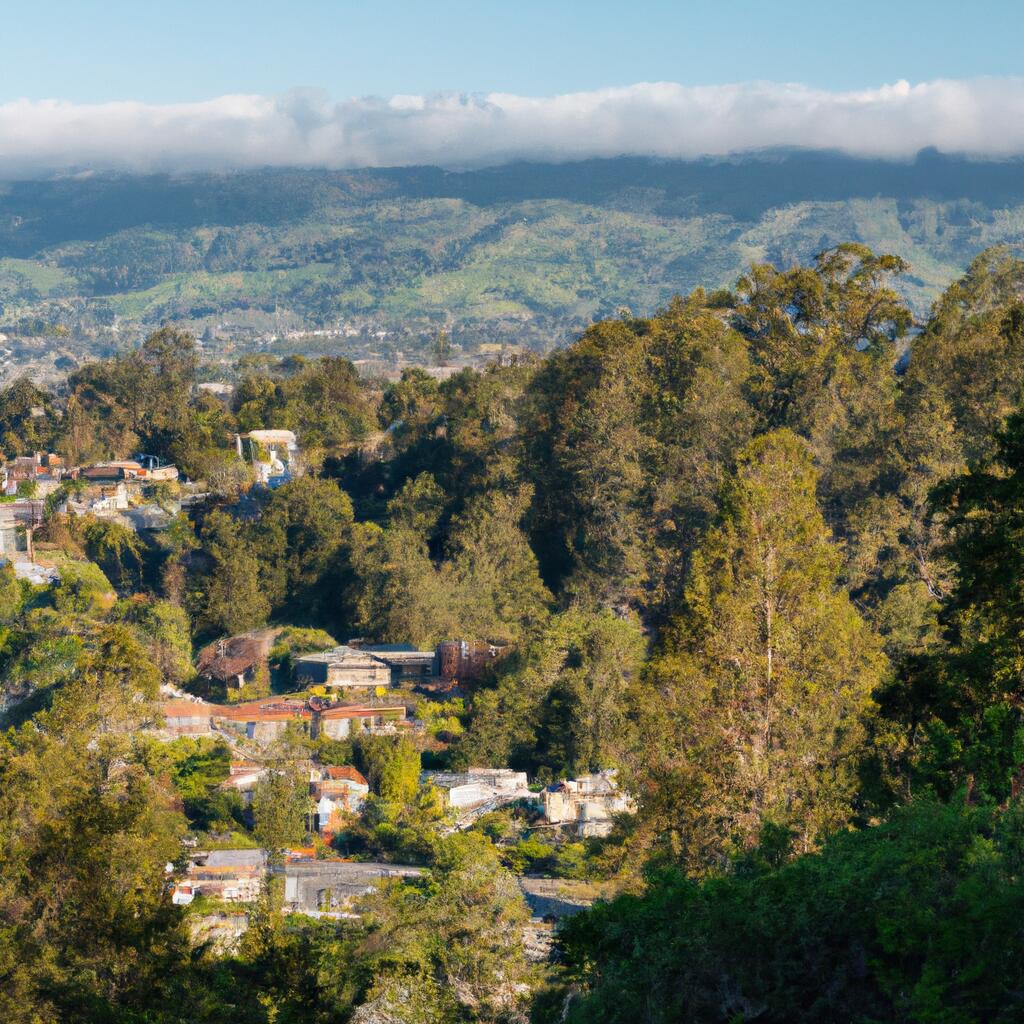 Photo example of Edgewood-Cypress in Mill Valley, CA