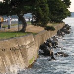 A seawall along Harbor Avenue Southwest in West Seattle.