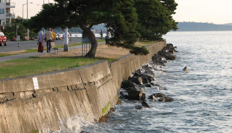 A seawall along Harbor Avenue Southwest in West Seattle.