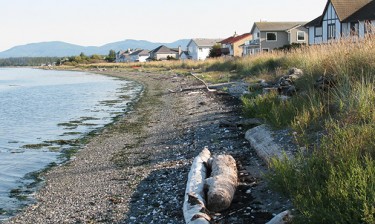 example of unarmored shoreline.