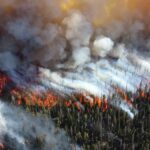 Forest on fire with smoke billowing, as seen from a helicopter