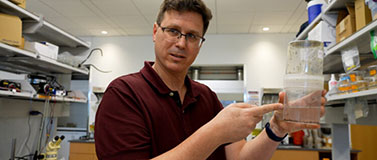 UW researcher Jeff Riffell in his lab