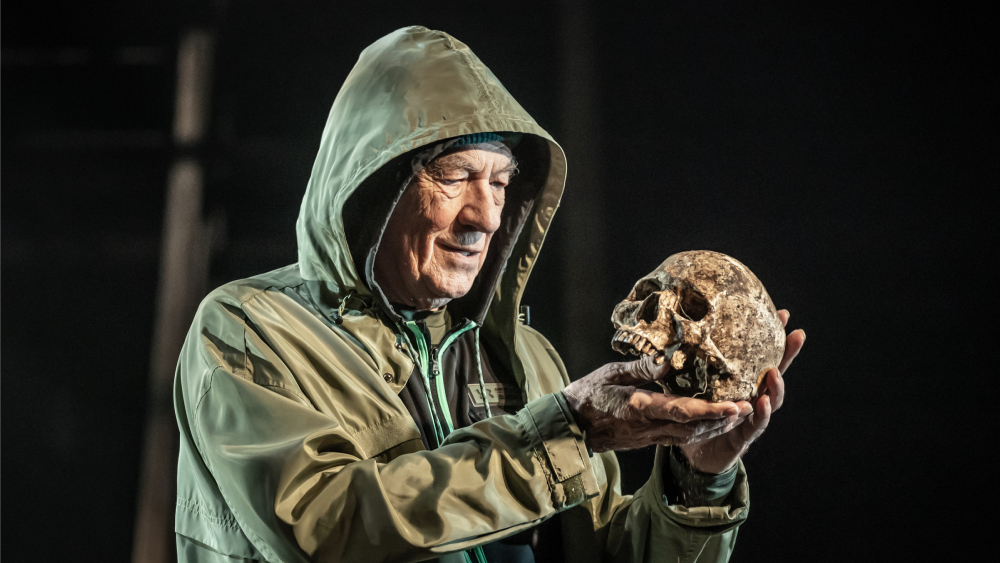 Hamlet review Ian McKellen