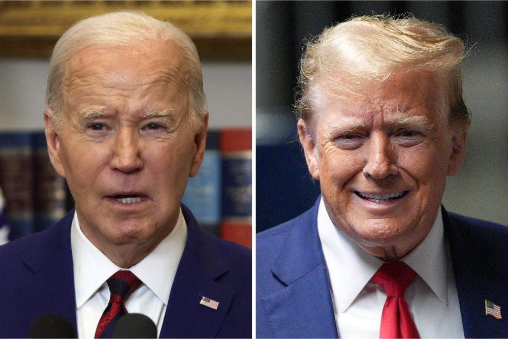 Joe Biden, Donald Trump