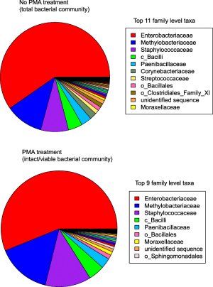 Pie chart showing the relative abundances of taxa identified on the ISS both treated (top) and untreated (bottom) by the chemical compound PMA.