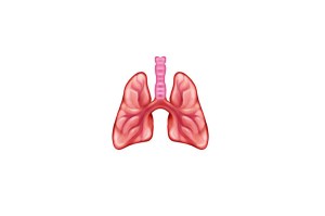 Pair of lungs emoji