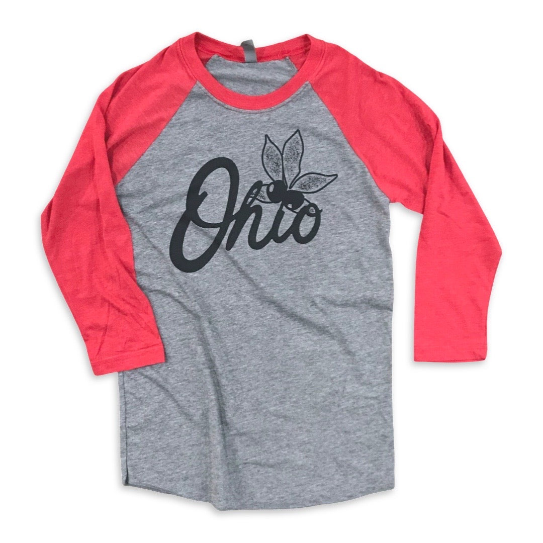 Buckeye State - 3/4 Sleeve Raglan T-shirt, T-shirts, WeBleedOhio, WeBleedOhio