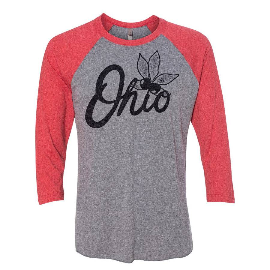 Buckeye State - 3/4 Sleeve Raglan T-shirt, Shirts & Tops, WeBleedOhio, WeBleedOhio