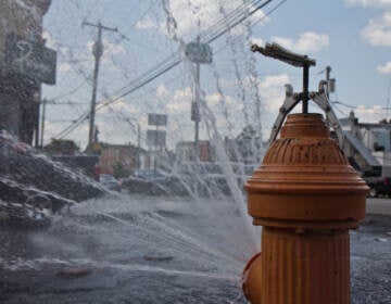 An open fire hydrant is pictured on Reese Street in Philly's Hunting Park neighborhood