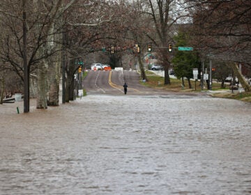 Kelly Drive flooded.