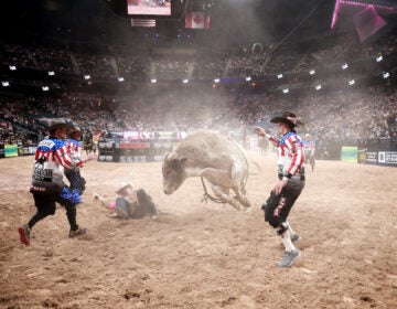 Bull riders at a rodeo