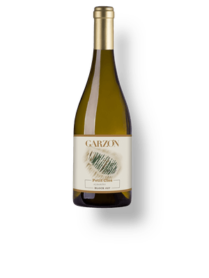 Garzón Petit Clos Block 27 Albariño