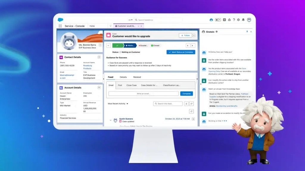 Service console showing a chat window with Einstein helping to answer questions