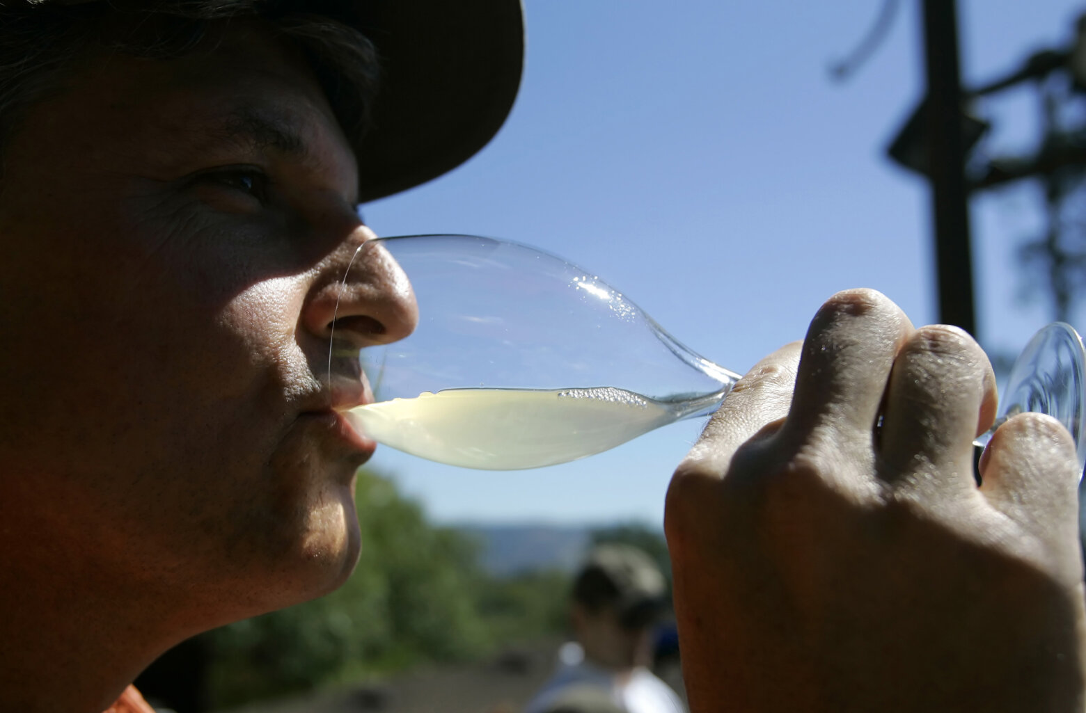 Celebrating 12 years of Wine of the Week with Naked Chardonnays