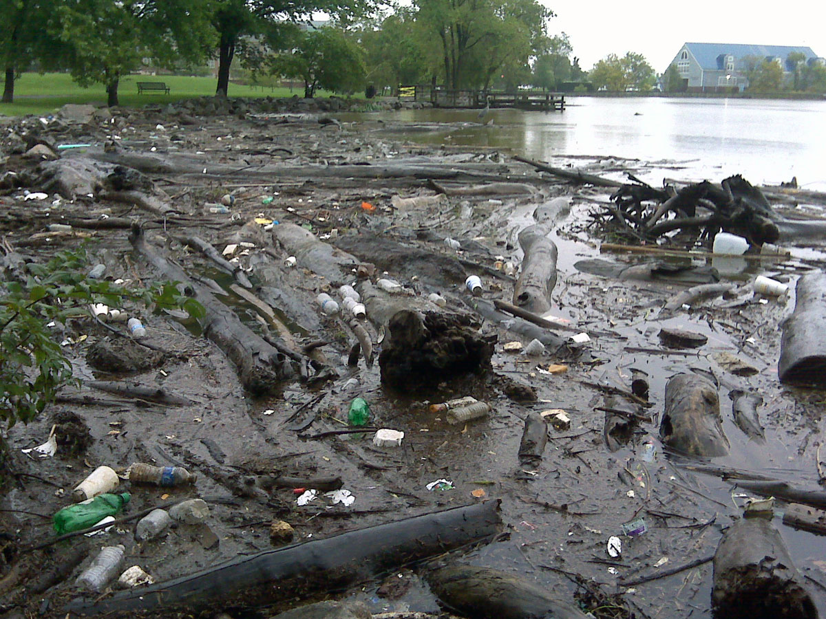 Environmental advocates urge stronger action to reduce polluted runoff from Maryland highways