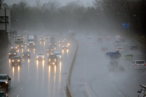 Heavy winds, rain batter DC area: 80 mph wind gusts clocked at Bay Bridge prompting 4-hour shutdown