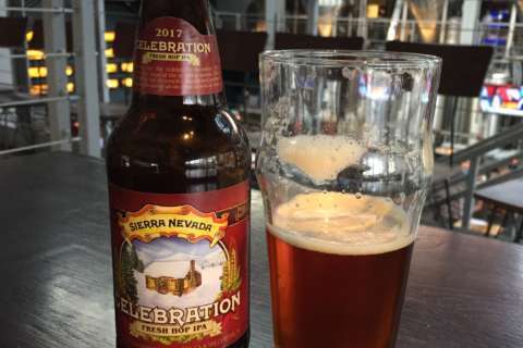 Beer of the Week: Sierra Nevada Celebration Fresh Hop IPA