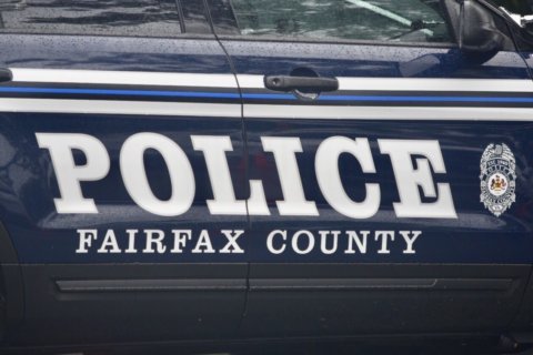 2 Florida men suspected in 2-year string of car break-ins at parks in Fairfax County