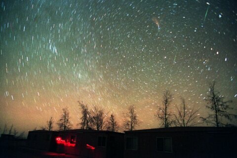 Leonid meteor shower: When’s the predicted peak?