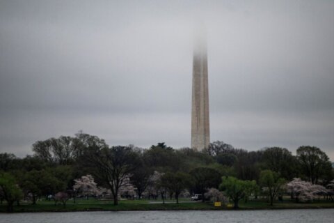 Storms move into DC area Thursday night, bringing risk of flooding, 30 mph winds