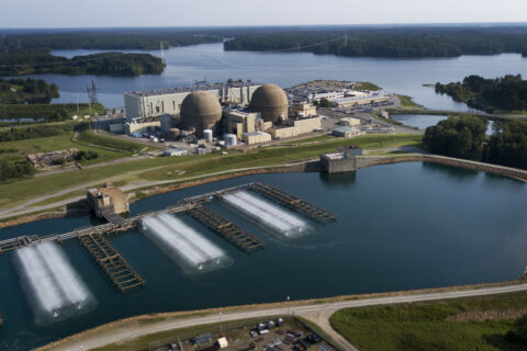 Seeking carbon-free power, Virginia utility considers small nuclear reactors