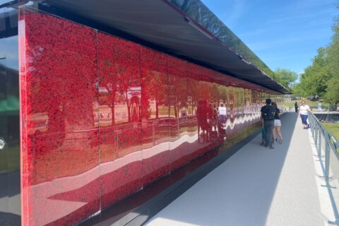 There’s a ‘whole life’ that goes with each poppy on the wall at the National Mall