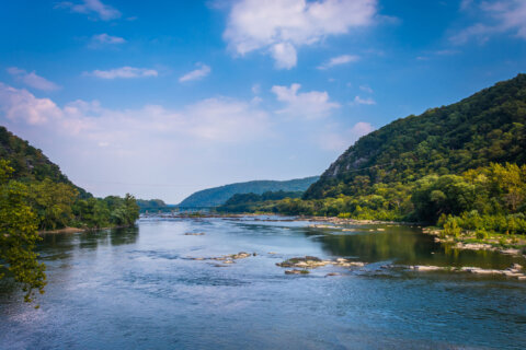 Drought likely to persist in Potomac River; higher chance of release from backup reservoirs