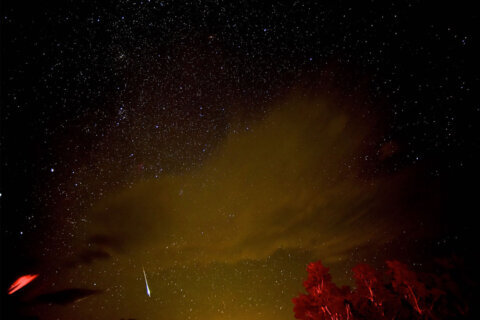 Lucky stars: Shenandoah ‘Night Sky Festival’ coincides with perfect Perseid meteor shower this weekend