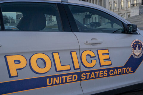 Man with gun arrested near US Capitol