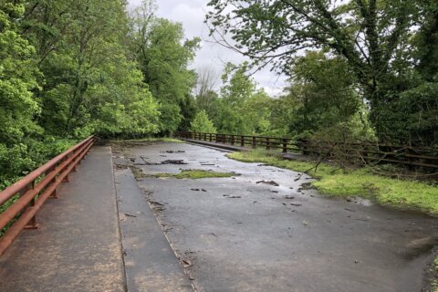 Cursed and crumbling ghost roads of the DC region