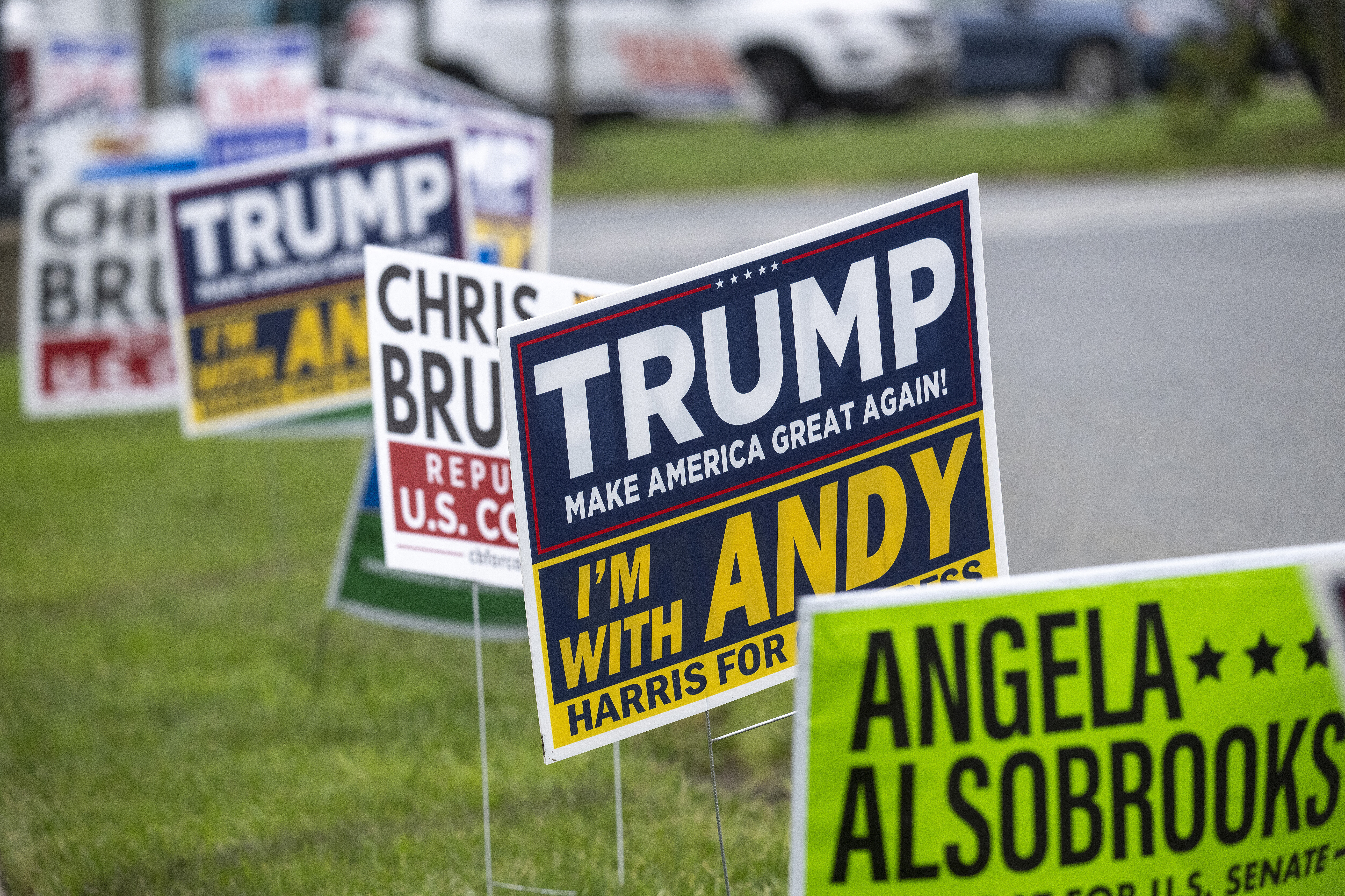 political signs in lawn