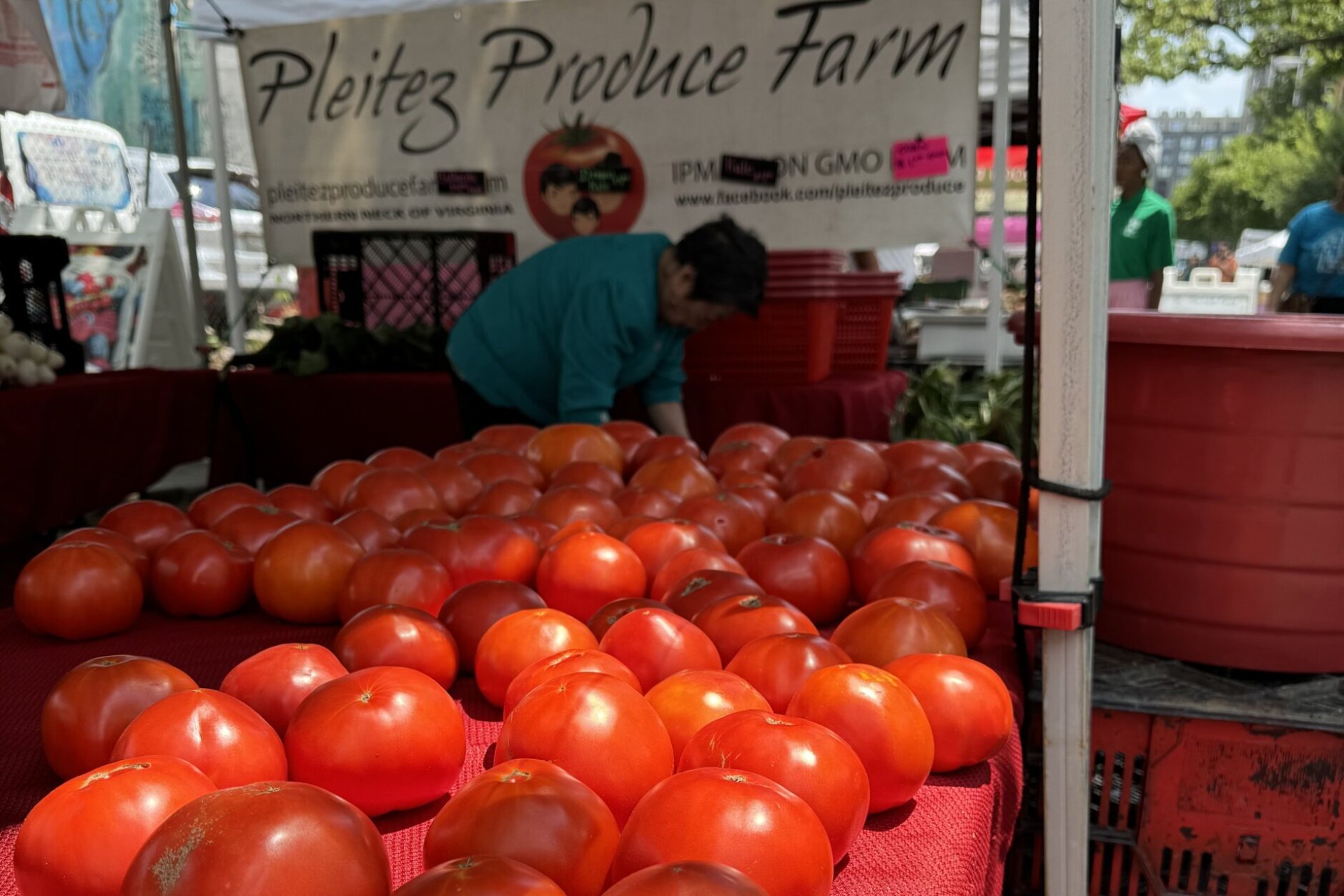 Mount Vernon farmers market