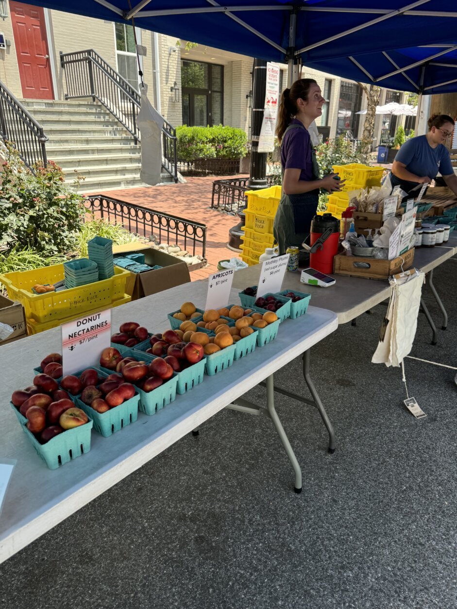 Mount Vernon farmers market