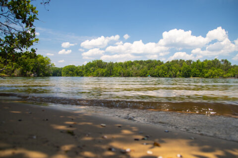 Va. Department of Health closes investigation into Lake Anna E. coli outbreak