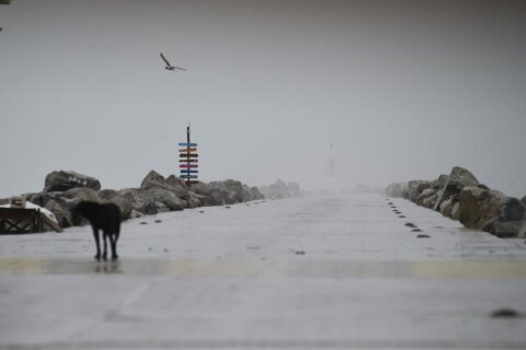 Tropical Storm Alberto dissipates over central Mexico after heavy rains killed 4