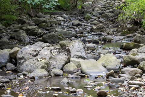 Va. drought conditions continue, spur Shenandoah fishing shutdown