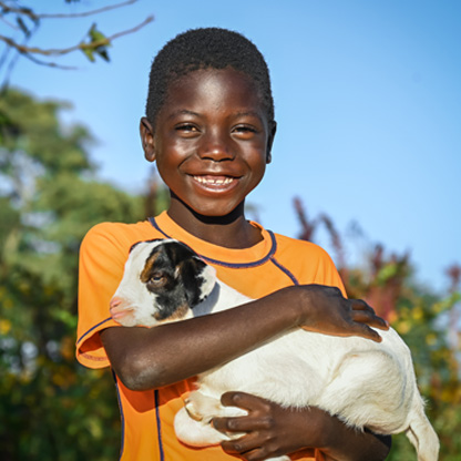 goats and chickens