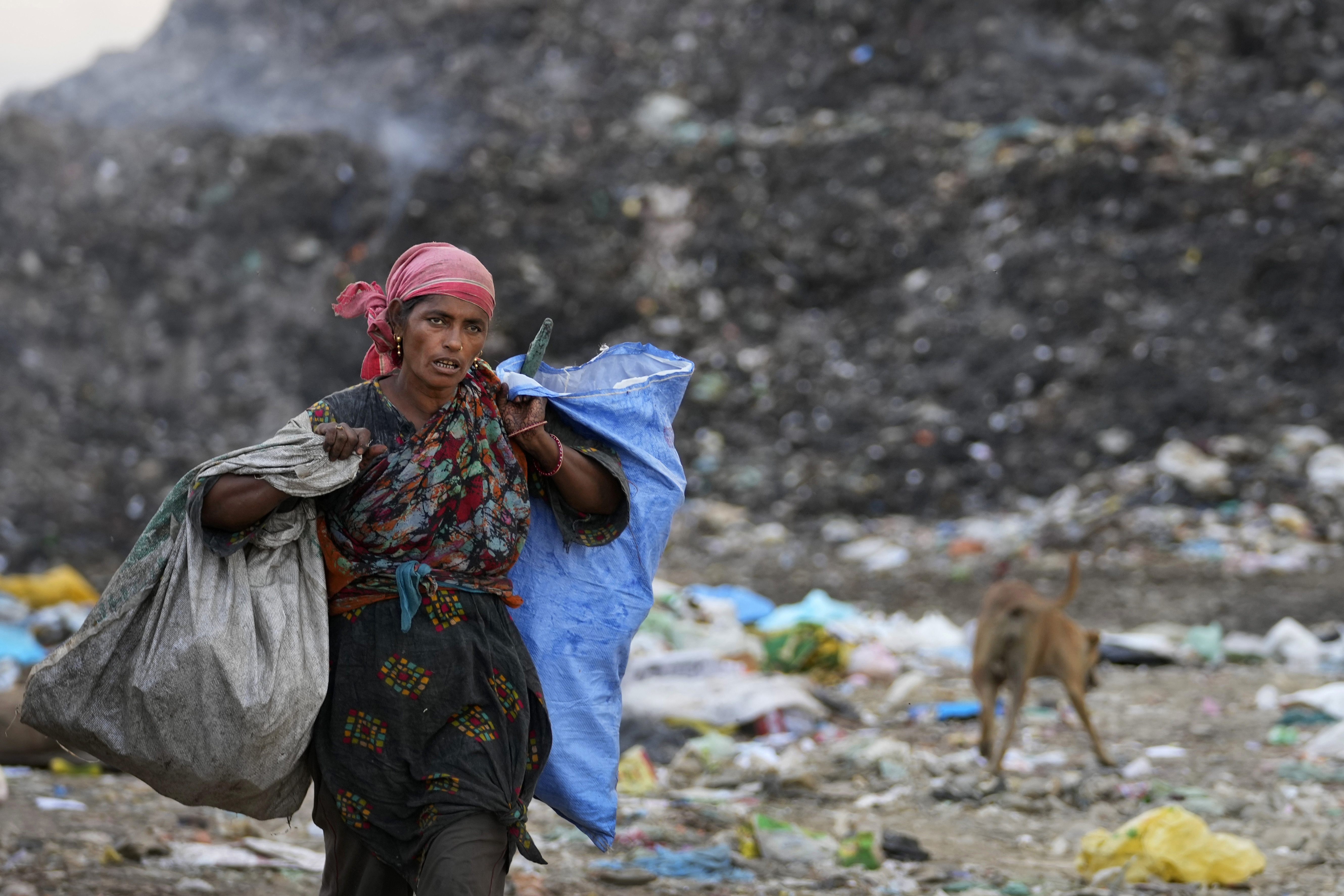 Waste picker Salmaa Shekh collects recyclables during a heat wave at a garbage dump on the outskirts of Jammu, India, Wednesday, June 19, 2024. Shekh and her family are among millions of people who scratch out a living searching through India's waste — and climate change is making a hazardous job more dangerous than ever. (AP Photo/Channi Anand)