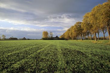 The Hoover surname is an Anglicization of Huber, a last name used to designate a large land owner or prosperous farmer.