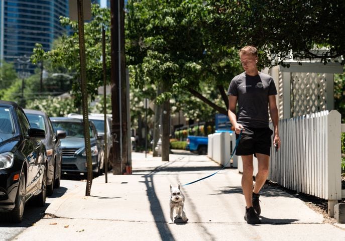 Patrick Kopp walks a dog on Piedmont Avenue NE in Atlanta on Tuesday, June 25, 2024. (Seeger Gray / AJC)