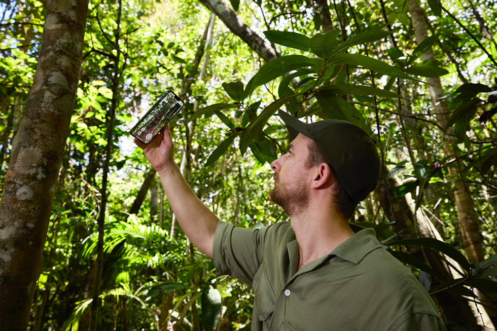 Um membro da equipe da Symbiosis segura um iPhone para coletar dados usando o scanner LiDAR e o app ForestScanner.