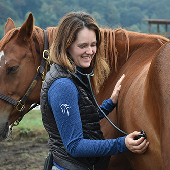 a Veterinarian listening to a horses chest