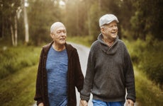 An elderly gay couple walks together on a nice, scenic forest road.