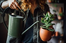 Woman watering flowers