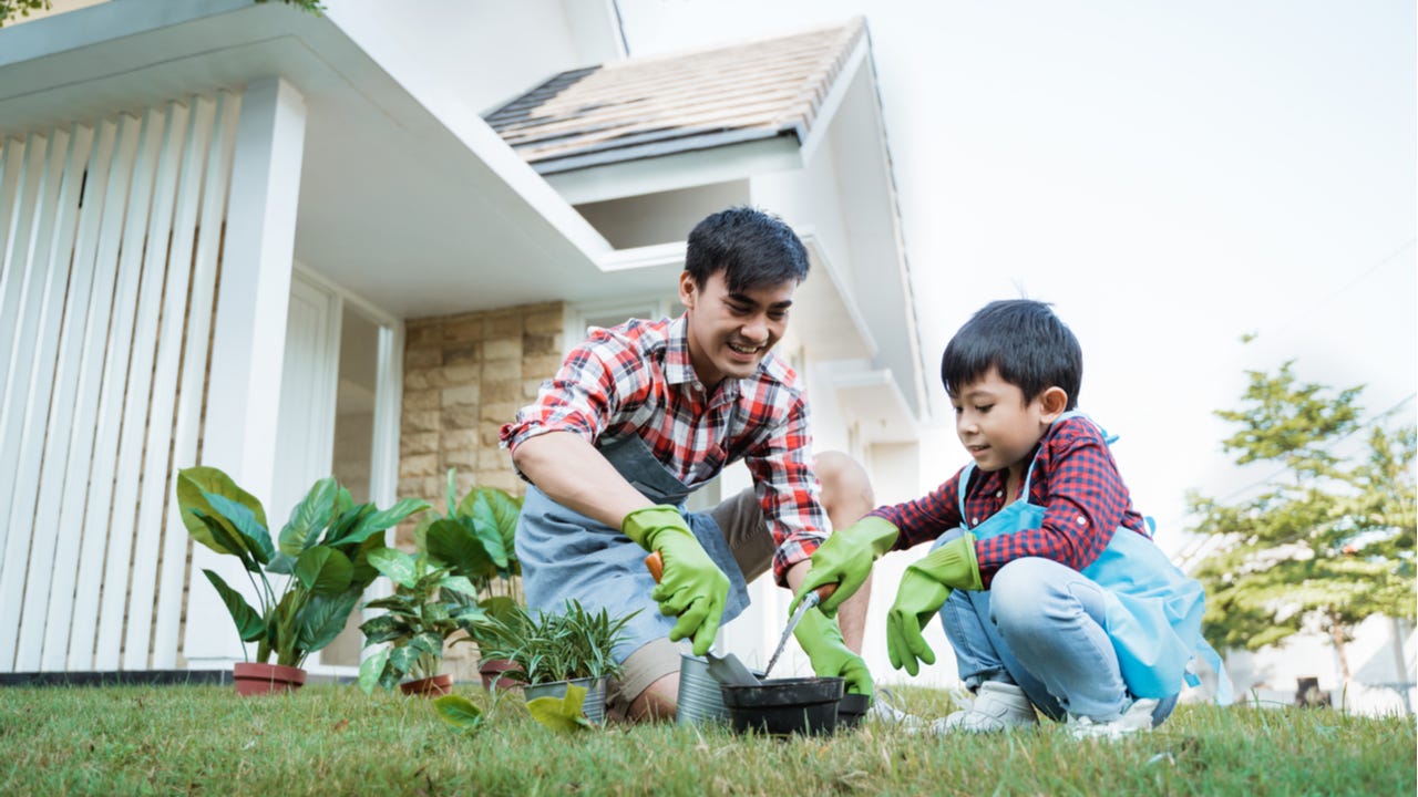 A father and his young son garden together in their yard.