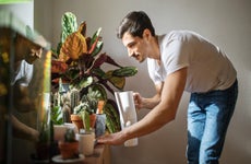 Man waters his plants