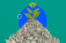 Illustration of a plant growing out of a pile of cash