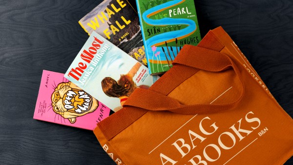 Read Tote Bag Tales To-Go: Short Fiction to Take Anywhere