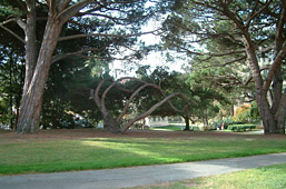 Image of Chancellor’s Esplanade